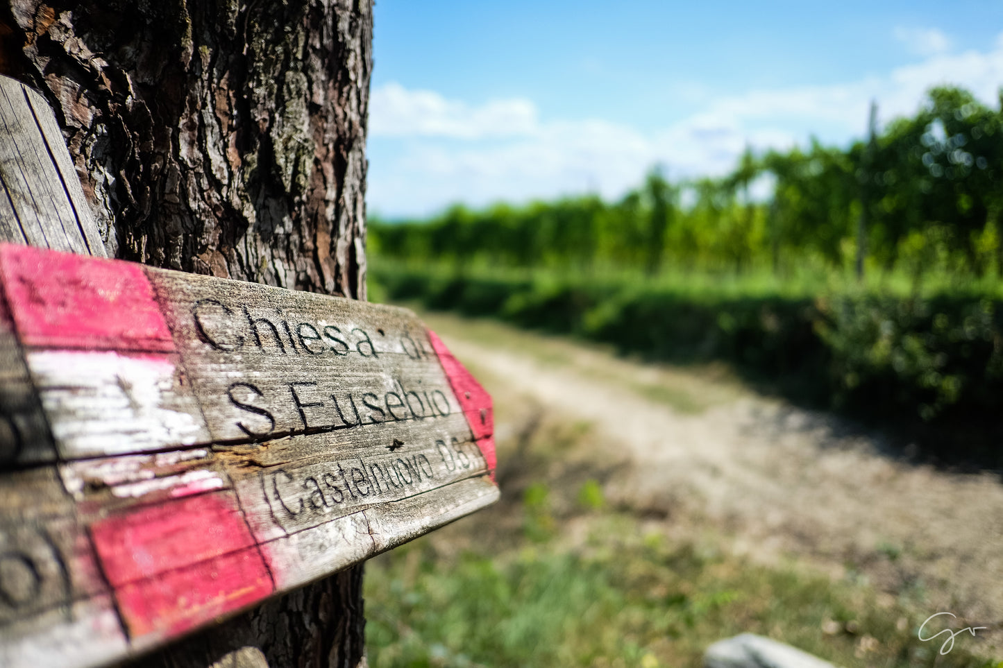 🚴🍷Pedala e Degusta: tour in ebike con sosta in Cascina