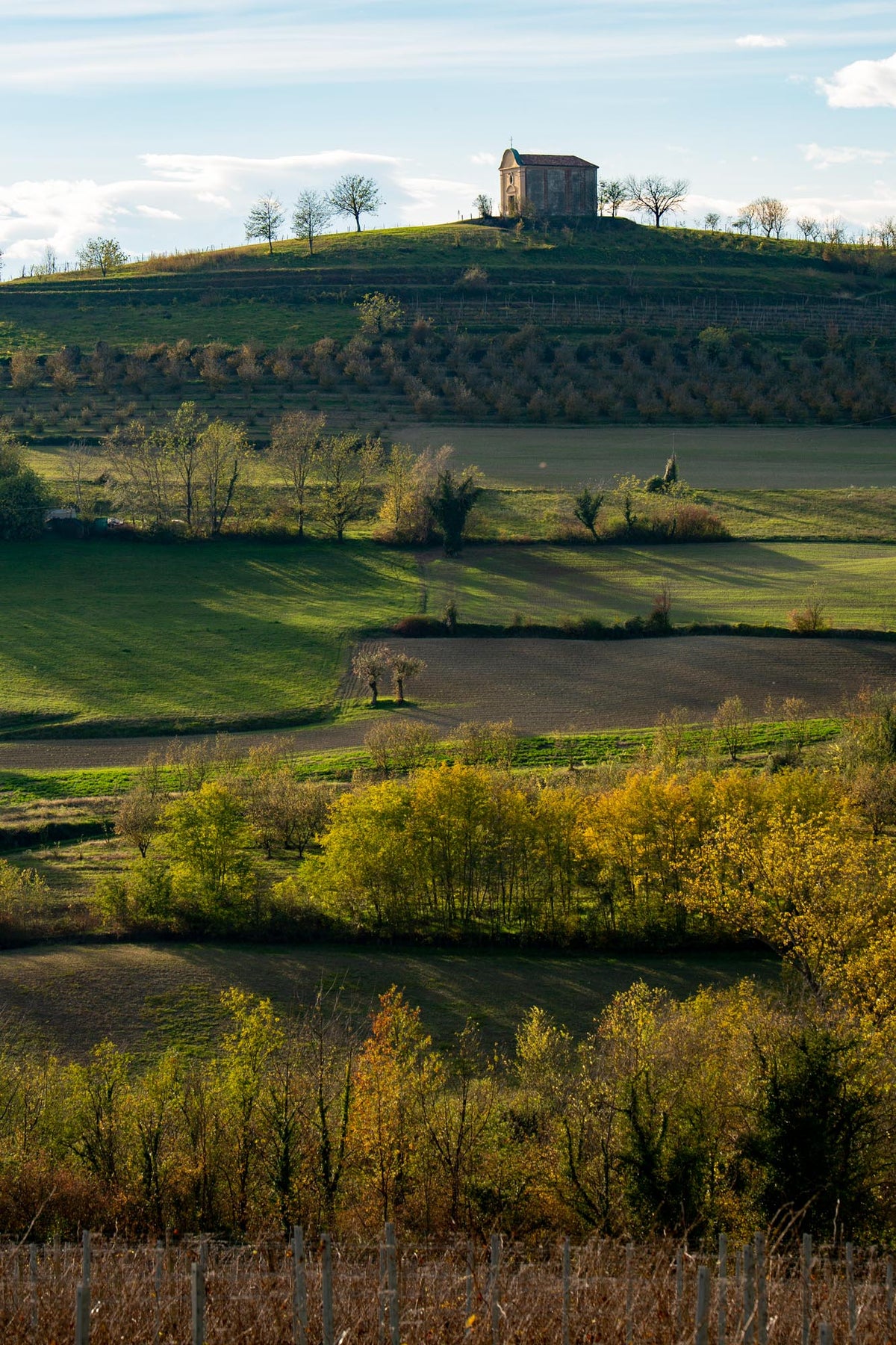 Domenica 18 ottobre: camminata consapevole e radicamento tra i vigneti🌿