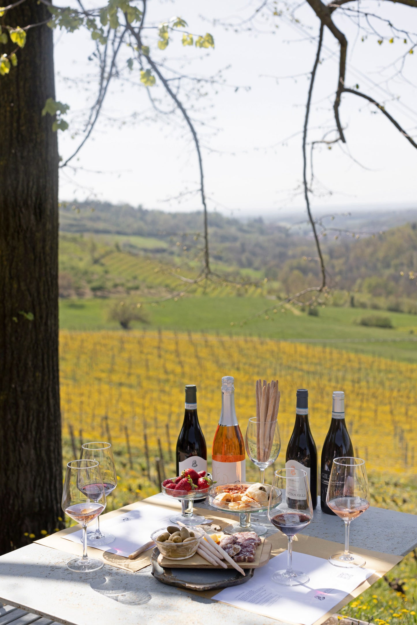 Degustazione "Nativi del Monferrato"