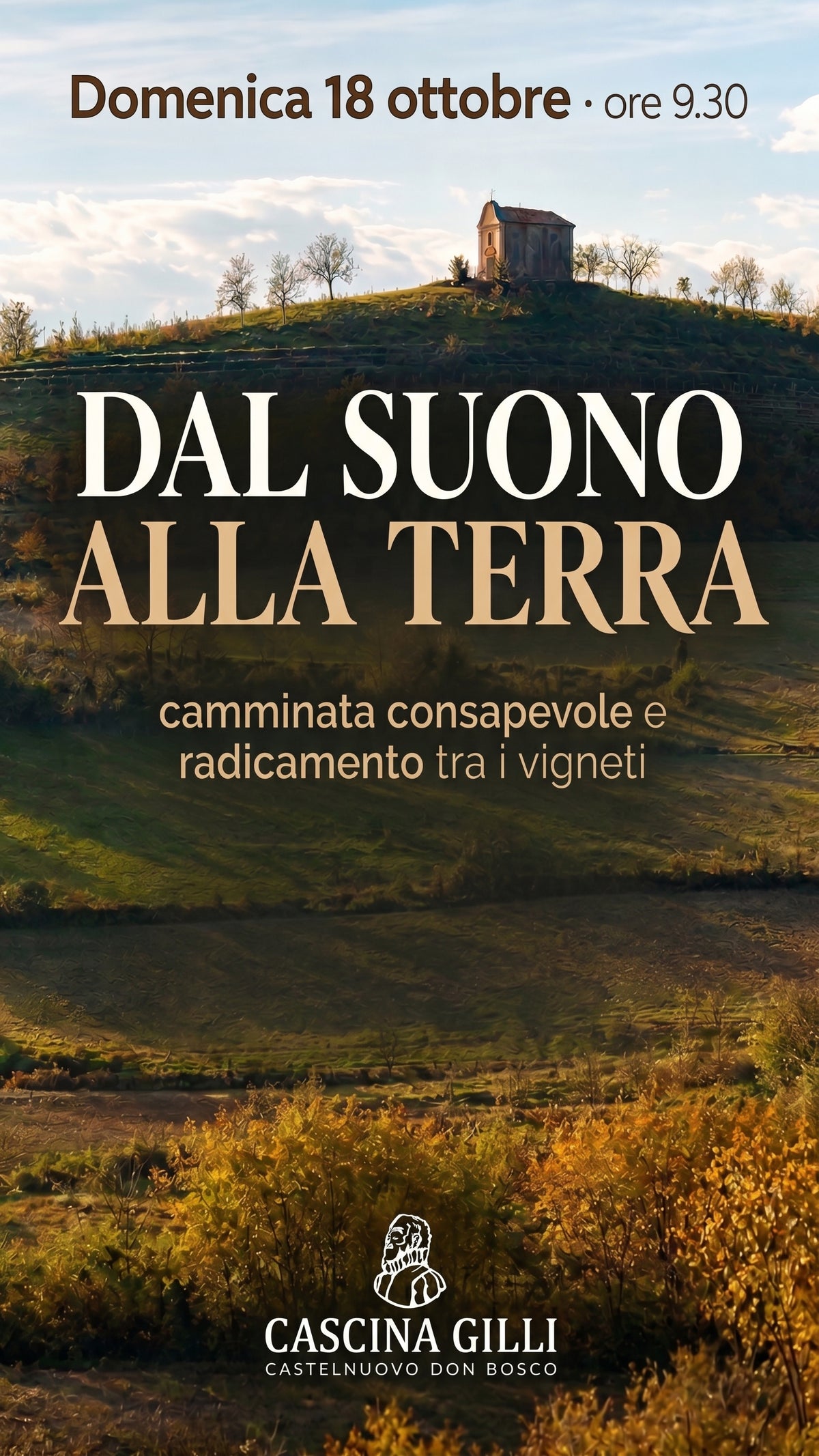 Domenica 18 ottobre: camminata consapevole e radicamento tra i vigneti🌿