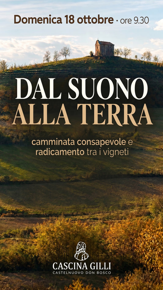 Domenica 18 ottobre: camminata consapevole e radicamento tra i vigneti🌿