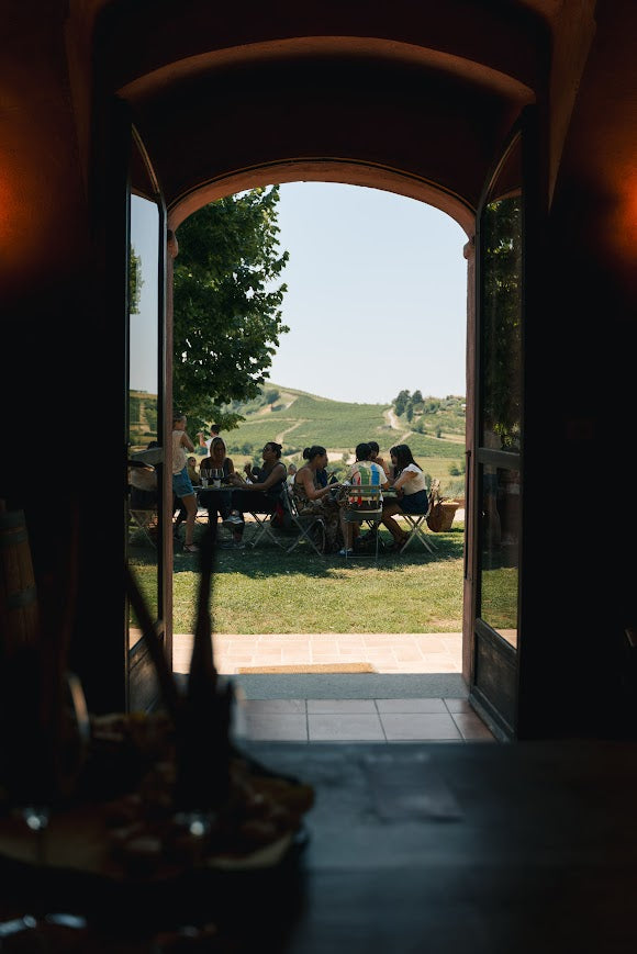 Domenica 18 ottobre: camminata consapevole e radicamento tra i vigneti🌿
