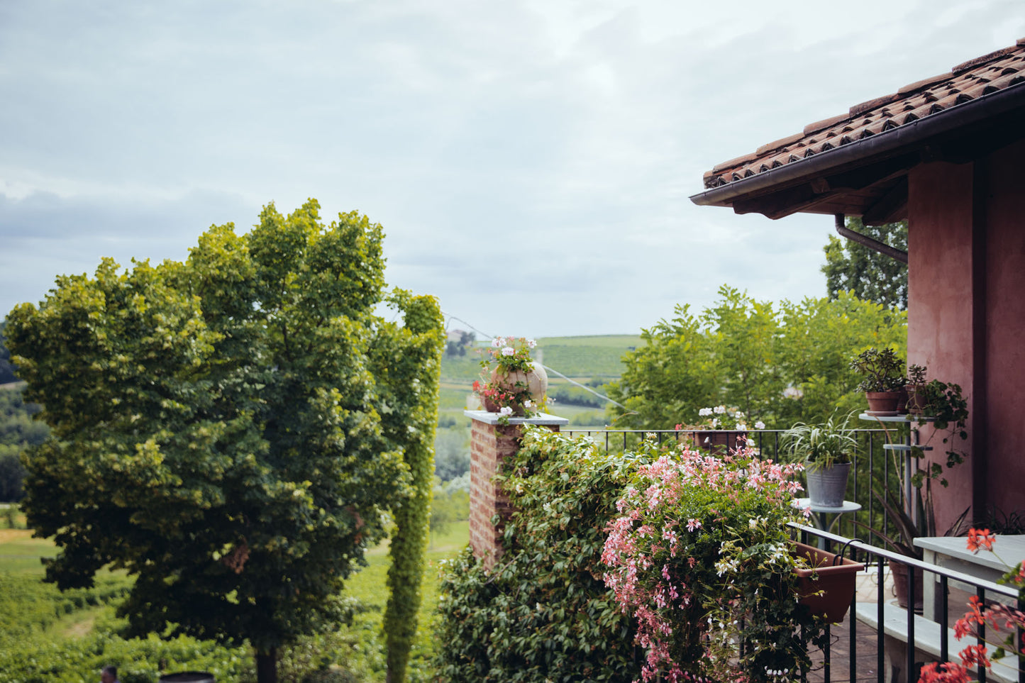 NATIVA @Gilli Garden: sabato 20 giugno