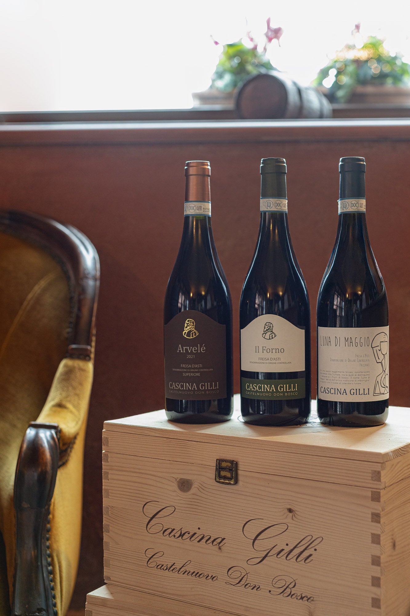 Wine Box "Freisa Lovers"