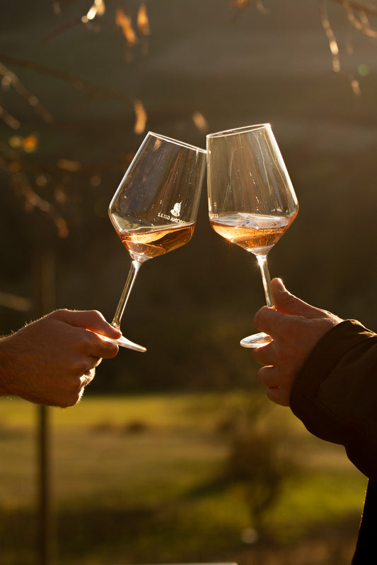 Degustazione "Nativi del Monferrato"